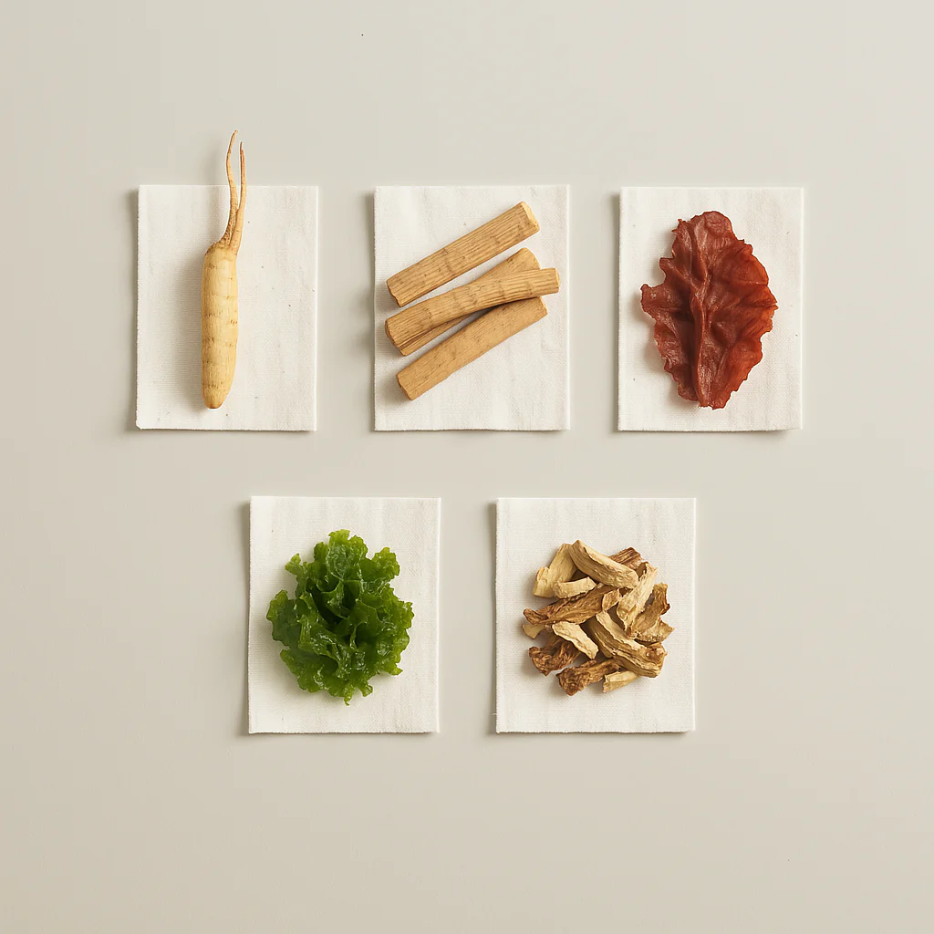 gempages 559568856163550013 794b73ea bc92 457f 899f 107bf9c03853 1024x