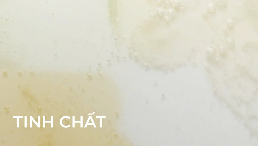 gempages 559568856163550013 e3ae0ce5 53dc 40f9 922e 4e2f49e8819a